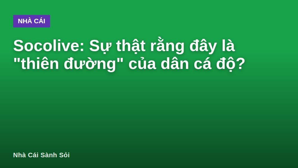 Socolive: Sự thật rằng đây là "thiên đường" của dân cá độ?